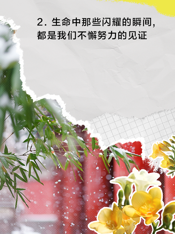 俄罗斯球队努力争取胜利，未能如愿 